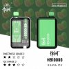 hebat 10000 puffs 喜貝 一次性電子煙 5%尼古丁