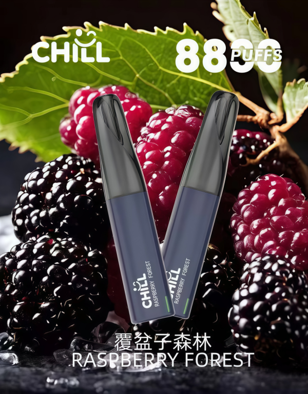 chill 8800口一次性電子煙 霧森坊