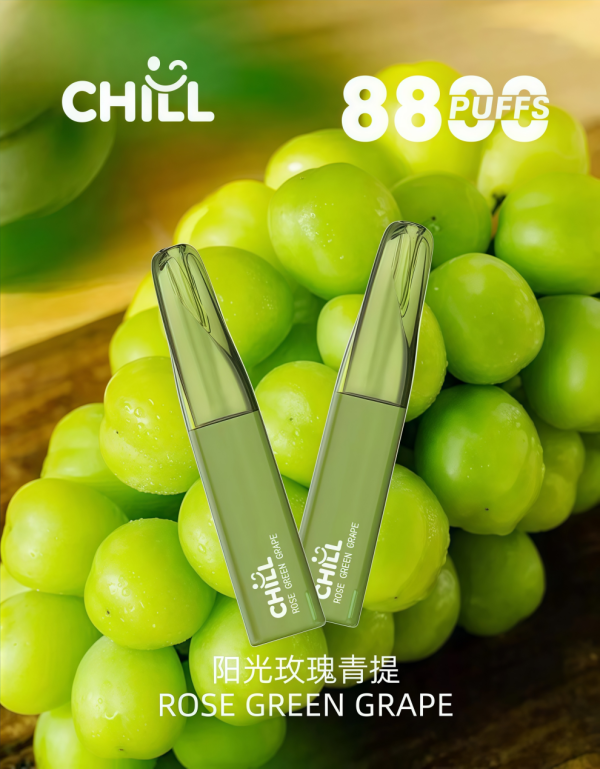 chill 8800口一次性電子煙 霧森坊