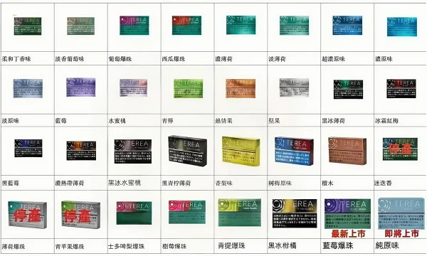 terea 加熱菸 iqos iluma 菸彈 霧森坊