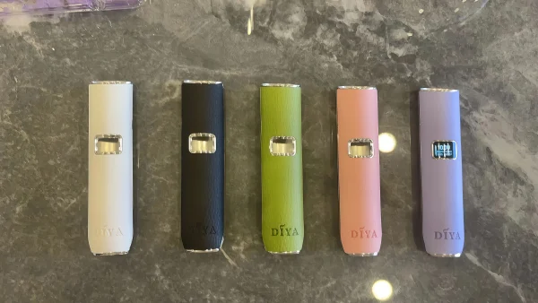 diya 叮啞 皮革主機 霧森坊